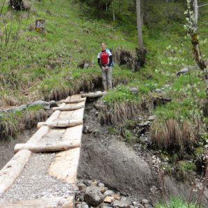 Waldwege ins Tal