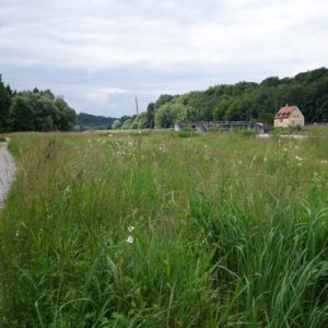 Wir entfernen uns von der Großstadt