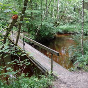 Brücke über einen Bach