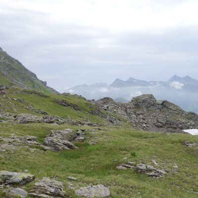 Die Landschaft ändert sich merklich