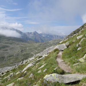 Und dann ging's raus aus dem Geröll und damit auf direktem Weg zur Grenze