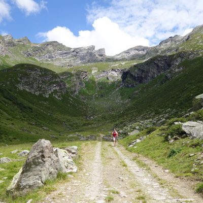 Wir nehmen Abschied von den Zentralalpen