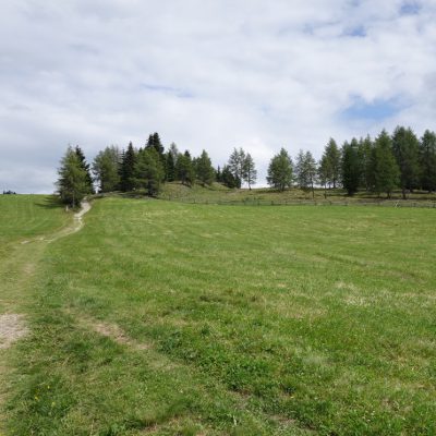 Wiesenweg an Almen vorbei