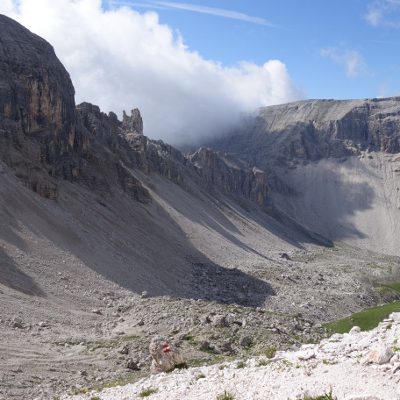 Blick auf den kommenden Weg