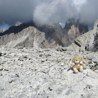 Auch unser Begleiter genoss die Aussicht