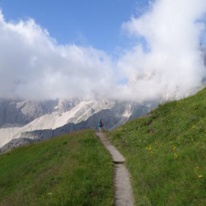 Nun auf dem richtigen Weg