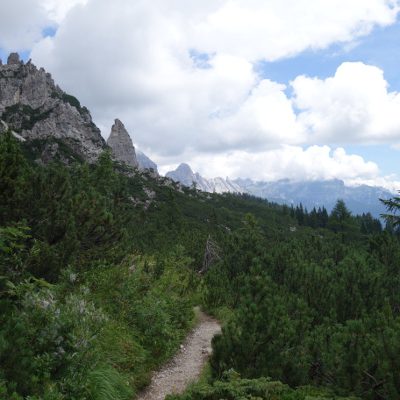 Zum Rifugio Bruto Carestiato wird's wieder grüner