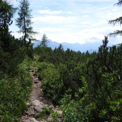 Zum Rifugio Bruto Carestiato wird's wieder grüner