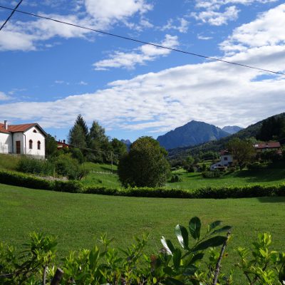 Langsam wird es grüner