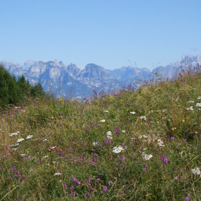 Ein sdf Blick zu den Dolomiten