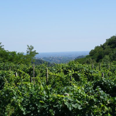 Geprägt von Wein und einem wunderschönen Ausblick