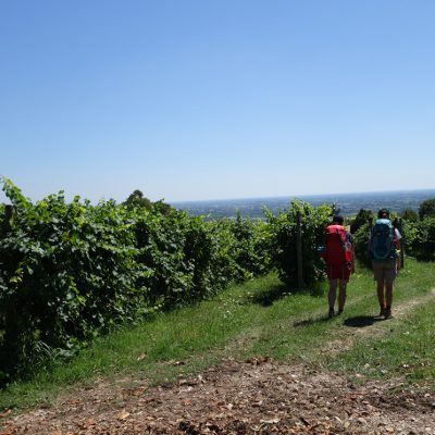 Vom letzten Weinhügel runter zur Piave