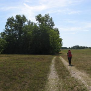 Schöner Weg nach San Bartolomeo