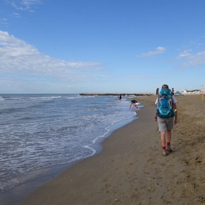 Early Bird wandernd am Strand