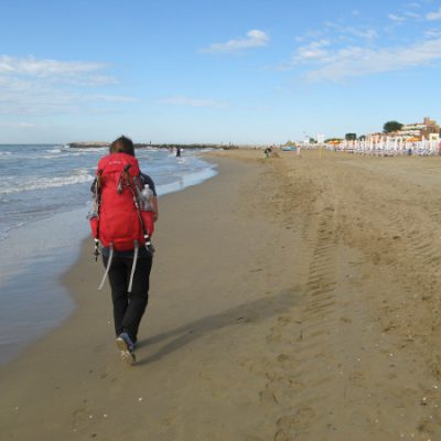 Night Owl wandernd am Strand