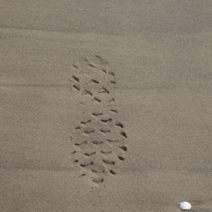 Fußabdruck am Strand