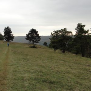 Blick aufs Altmühltal