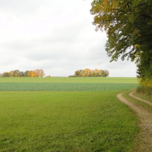 Noch 4 km bis zum Ziel