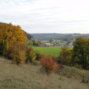 Blick auf Dollnstein