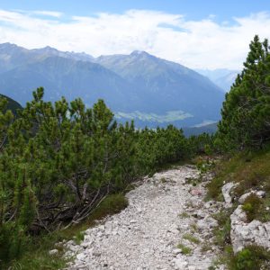 Weg zur Hütte nach dem Wald