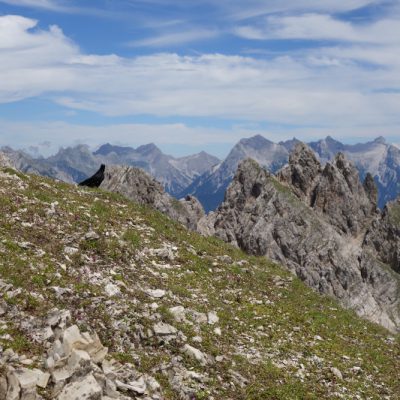 Blick ins schöne Karwendel