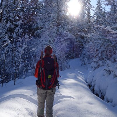 Wunderschöne Winterlandschaft