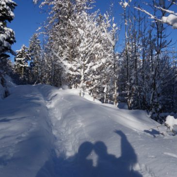 Winterwunderland am Tegernsee: Riederstein (1207m) und Baumgartenschneid (1449m)