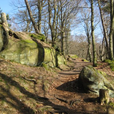 Weg zum Drachenfels