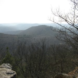 Aussicht vom Drachenfels