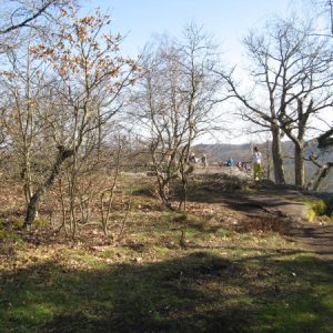 Blick zum Drachenfels