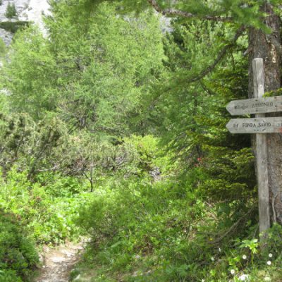 Auf zum Rifugio Fonda Savio