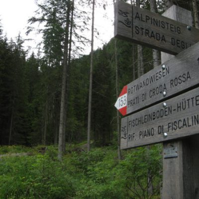 Es geht wieder nach oben: Zur Rotwandwiesenhütte