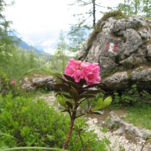 Auf dem Rückweg