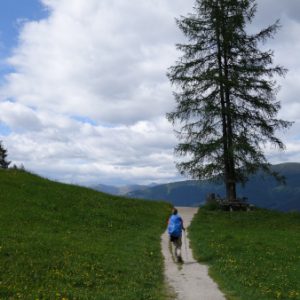 Und schon fast wieder bei der Hütte