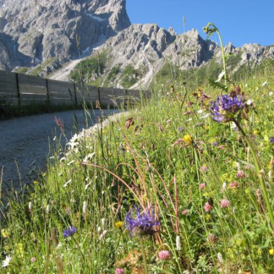 Auf dem Weg ins Tal