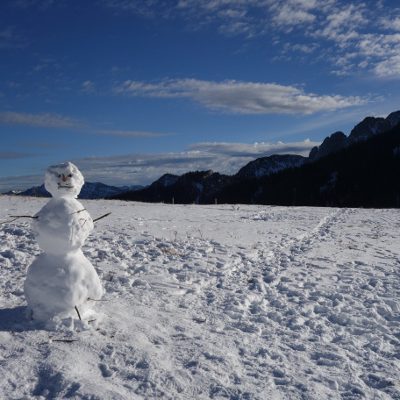 Schneemann auf dem Weg